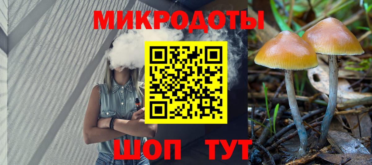 дарнет шоп  Вход с VPN  Канаш  Псилоцибиновые грибы GOLDEN TEACHER 