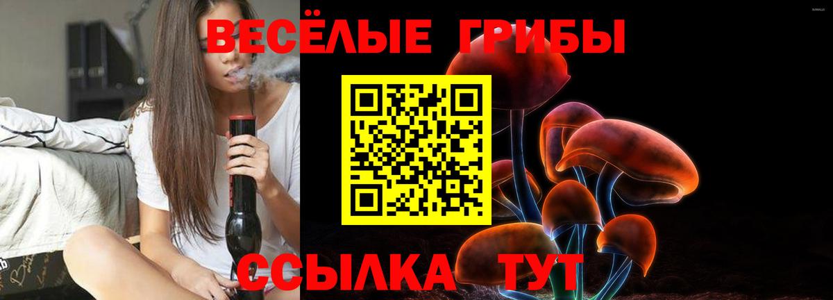 Галлюциногенные грибы GOLDEN TEACHER Канаш